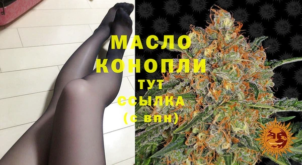 гашик Михайлов