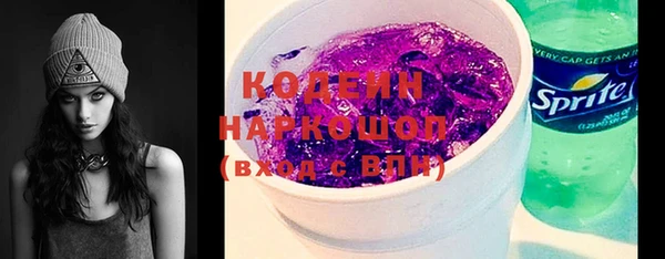гашик Михайлов