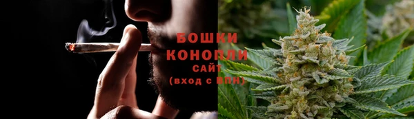 гашик Михайлов