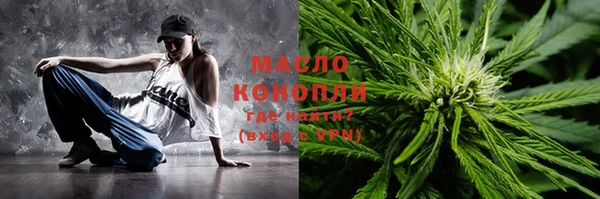 гашик Михайлов